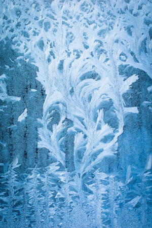 Frosty natural pattern on winter windowの写真素材