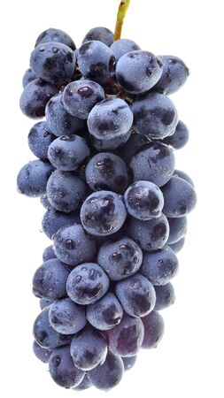 Ripe bunch of blue grapes on a white background.の写真素材