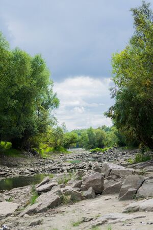 Landscape by the river against the backdrop of the forest on a summer day.の写真素材