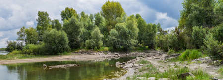 Landscape by the river against the backdrop of the forest on a summer day.