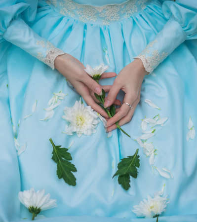 Female hands with chrysanthemum flowers close-up on a blue dress.の写真素材
