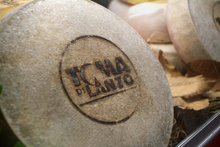 Turin, Piedmont, Italy. -10 / 22 / 2010- The food fair "Salone del Gusto". Toma cheeseのeditorial素材