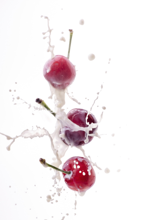 energetic splash of fresh milk on top of cherries on white backgroundの写真素材