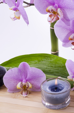 Spa concept with black massage stones, purple orchid flower and bamboo leaves and some aromatic candlesの写真素材