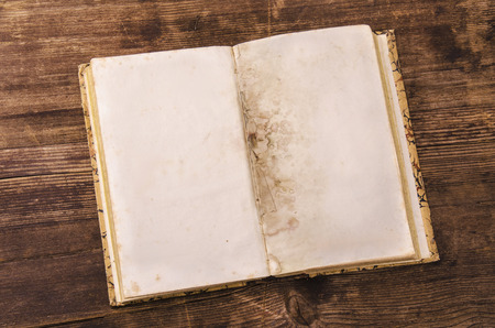 blank pages of an old book on a rough wood background