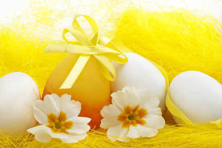 white Easter eggs decorated with ribbon and yellow primrosesの写真素材