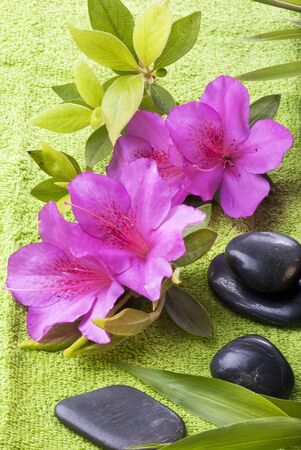 Spa, beautiful branch of purple flowery azalea and some massage stonesの写真素材