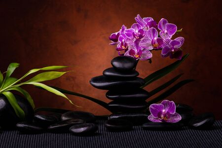 Spa, concept. composition with bamboo, orchid flowers and black stonesの写真素材