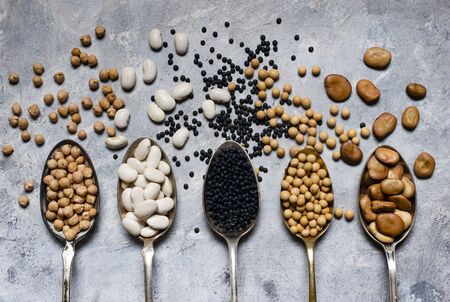 assortment of dried legumes in spoons arranged in a row with top view on a gray textured background