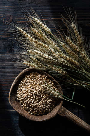 on the textured wooden table, some ears of wheat and an old wooden spoon with barley grains.の写真素材