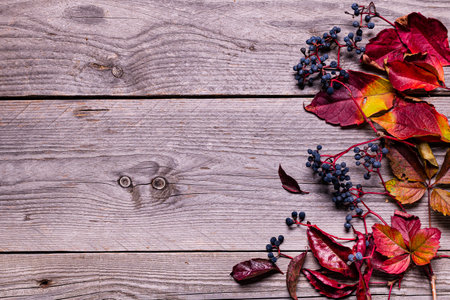 Autumn leaves and berries on aged wooden background. Space for your own textの写真素材