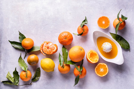 Types of citrus with leaves and ceramic juicer with fresh juice are arranged on a gray surface of the structure. View from aboveの写真素材