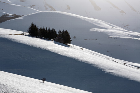 Small house with trees around in the snowの写真素材