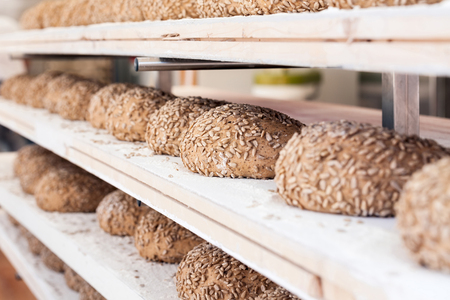 Loaves in a row on the boardsの写真素材