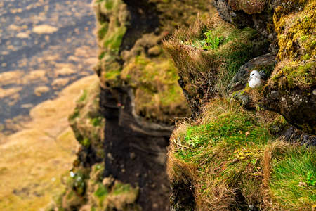 Volcanic rock formation near Dyrholaey in a cloudy day, Icelandの写真素材