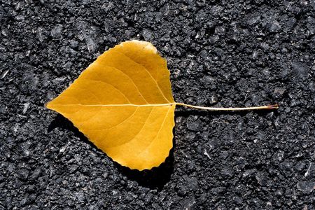 yellow on asphaltの写真素材