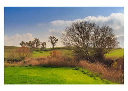 country pathの写真素材