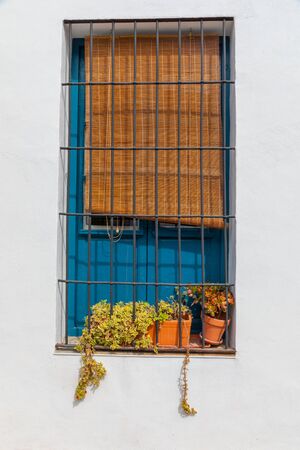 windowの写真素材