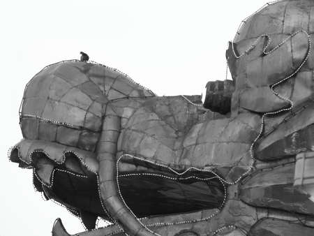 Dragon & dove living in Shanghai, Chinaの写真素材