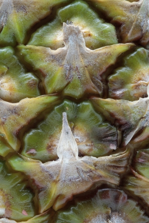 background of  a close up of a pineappleの写真素材