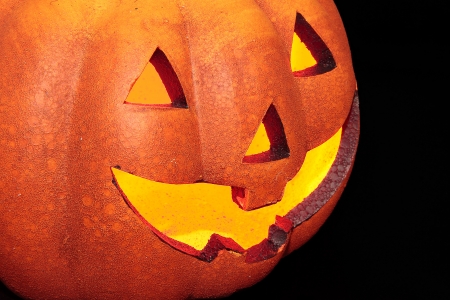 typical halloween pumpkin on black background
の写真素材