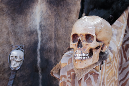 foreground of a skull and another smaller in the backgroundの写真素材