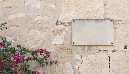 wall of stone with an empty plaque and some flowers at left cornerの写真素材