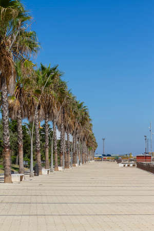 landscape with palm trees on the seafront of shipyards in the city of cadizの写真素材