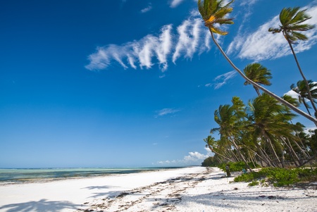 beautiful tropical beach in Zanzibarの写真素材