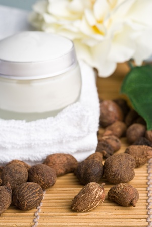 shea nuts with sheabutter creamの写真素材