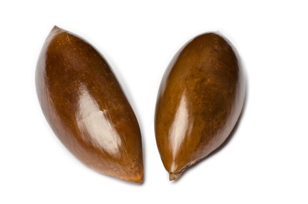 Mamey Sapote seeds from which is extracted an oil for hairs