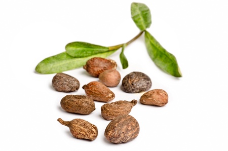 Shea nuts with leaves on white backgroundの写真素材