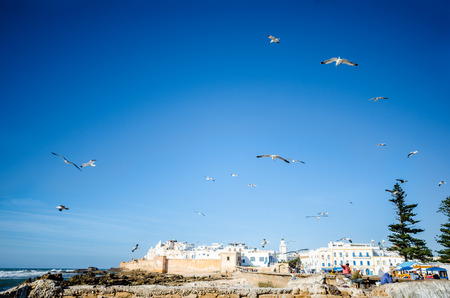 Essaouira, Morocco - March 2013: View of the ancient walla of Essaouira, Morocco on march 20, 2013, with seagulls in flightのeditorial素材