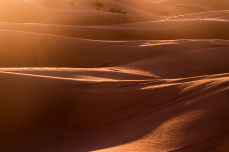 Sand dunes in the Sahara desertの写真素材