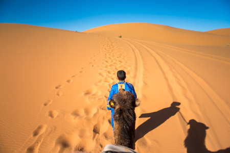 Tuareg walking in the Sahara desert, leading a camel caravanの写真素材