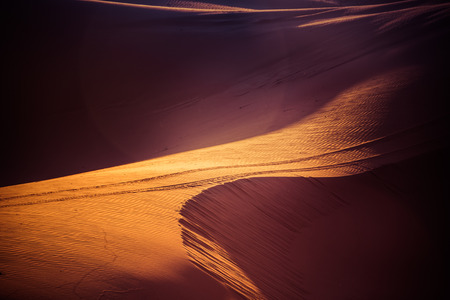 Sand dunes in the desertの写真素材