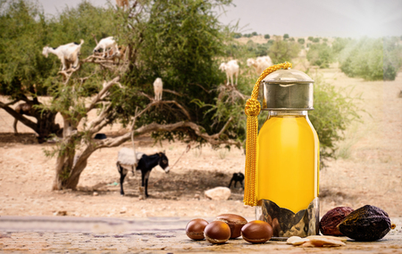 Bottle of argan oil and fruits for skin care Argan tree in the backgruond with goats eating Argan fruitsの写真素材