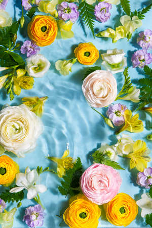 beautiful spring flowers in waterの写真素材