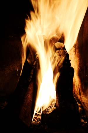 Fireの写真素材