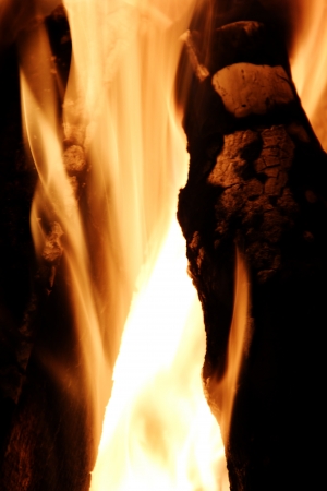 Fireの写真素材