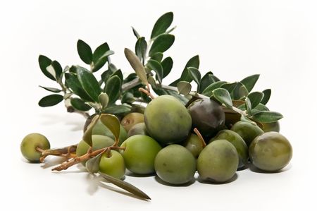 olives with olive branchesの写真素材