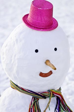 snowmanの写真素材