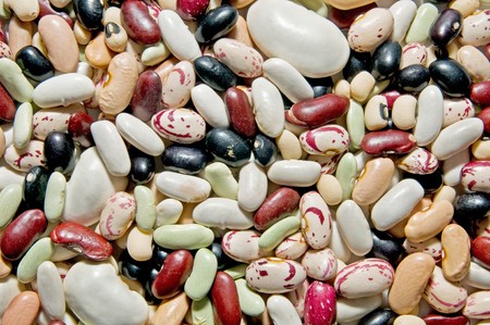 beansの写真素材