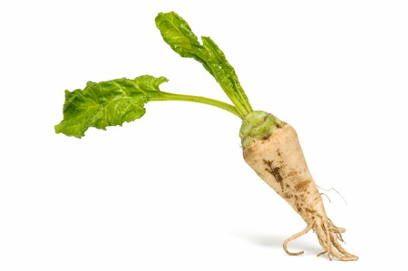 sugar beet on white backgroundの写真素材