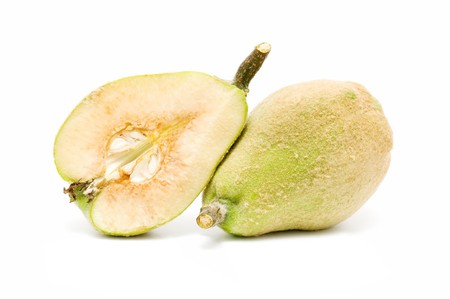 ecological quinceの写真素材