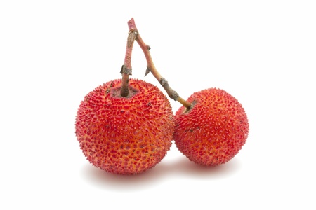 arbutus berriesの写真素材