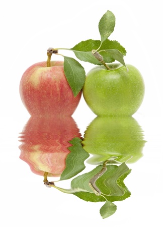 apple of reflectionsの写真素材