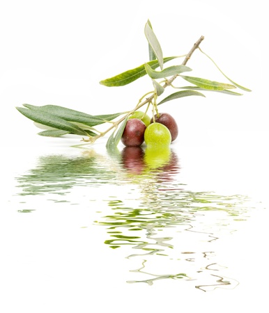 olivesの写真素材