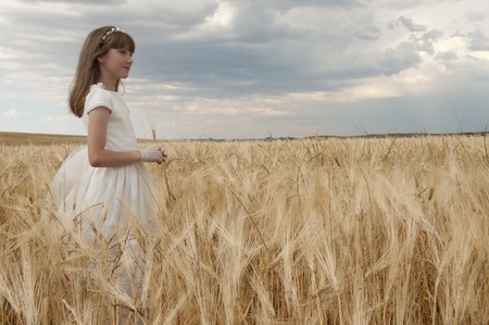 chica con vestido de primera comuniÃ³n entre la cebadaの写真素材