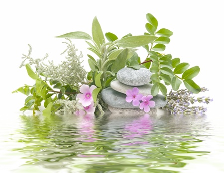spa treatment with natural herbs and essencesの写真素材